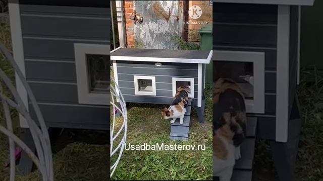 зимний домик для кошек Барс. купить теплый дом для кошек с подогревом смотреть онлайн