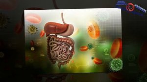 Почему нельзя есть перед сном? Большое расследование, чем конкретно опасна еда на ночь?!