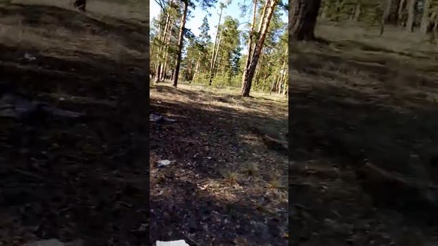 SkyTeam 250 enduro смотреть онлайн