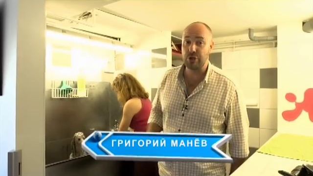 Пудель. Планета собак ? Моя Планета