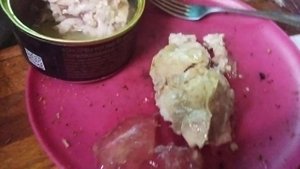 Вскрытие консервы "Мясная ферма. Индейка тушёная"