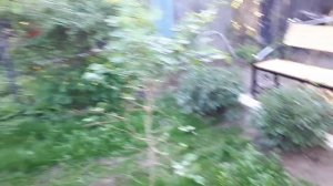 Газонокосильщик.