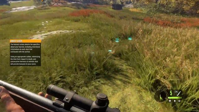 theHunter: Call of the Wild. Заказник Хиршфельден [1080p60] | Час игры