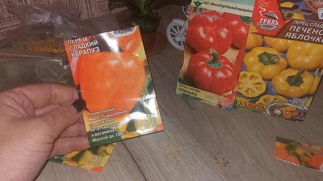 ОБЗОР СЕМЯН 2023//СЕДЕК//АЭЛИТА//ПАРТНЁР??!