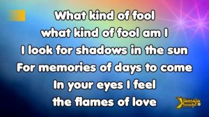Fancy   Flames of Love Karaoke   Lyric   New Wave