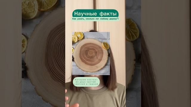 Лайфхак, как посчитать возраст любого дерева. Подписочка, чтобы не пропустить новые научные факты :