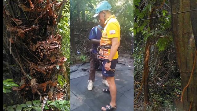 Полет Гиббона. Канатная дорога в Паттайе."Cable Rides". смотреть онлайн