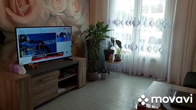 Комнатные РАСТЕНИЯ во Франции.Как красиво расставить комнатные растения в одном месте? смотреть онлайн