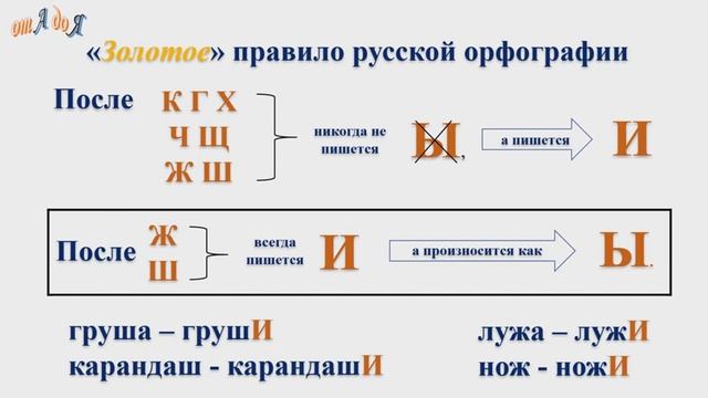 Множественное число имён существительных