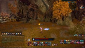 Краткий Гайд по Берсерку (Tera Online)