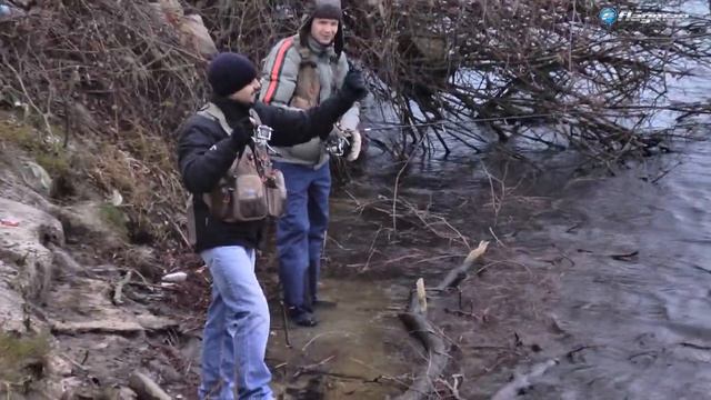 ЗИМНИЙ МИКРОДЖИГ. Тест драйв удилища Azura Safina. смотреть онлайн