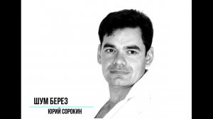 Шум берез. Юрий Сорокин