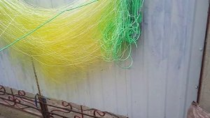 СЕТИ НА КАРАСЯ.