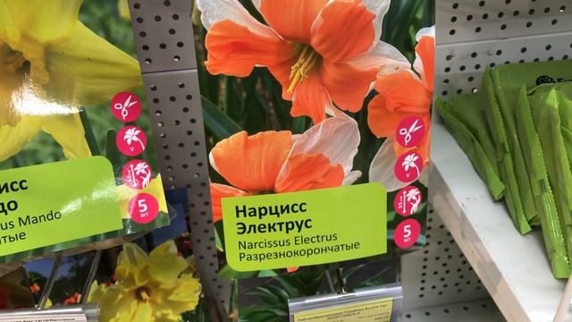 Сад 2021.Хит Сезона.Луковичные,Осень. смотреть онлайн