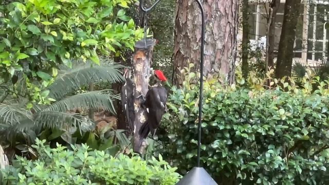 Всех Активных в сад! смотреть онлайн