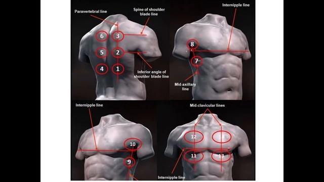 УЗИ легких. 1 часть смотреть онлайн