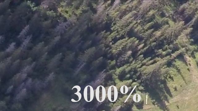 UFO in the Carpathians! Fastwalker filmed by drone!/ Реальные съёмки НЛО в Карпатах смотреть онлайн