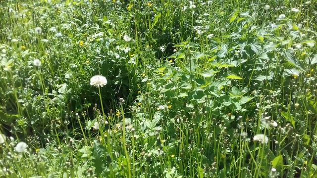 Кратко о новых моделях Сестер Битвы: Retributors - мои впечатления смотреть онлайн