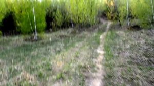 Геометрическая проходимость Лада 4х4 5д.