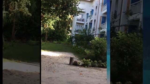 Остров Дигура Мальдивы Нормальный Обзор Maldives Dhigurah смотреть онлайн