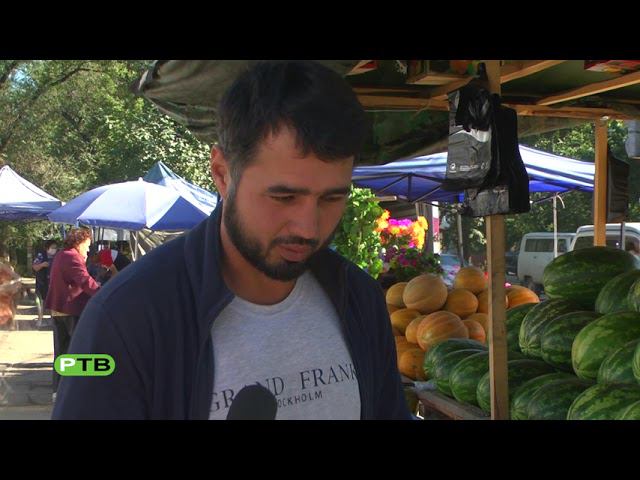 Главный овощ смотреть онлайн