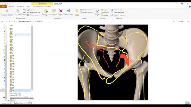 Коррекция постуры при подготовке к беременности и в процессе вынашивания - Алексей Кириллов смотреть онлайн