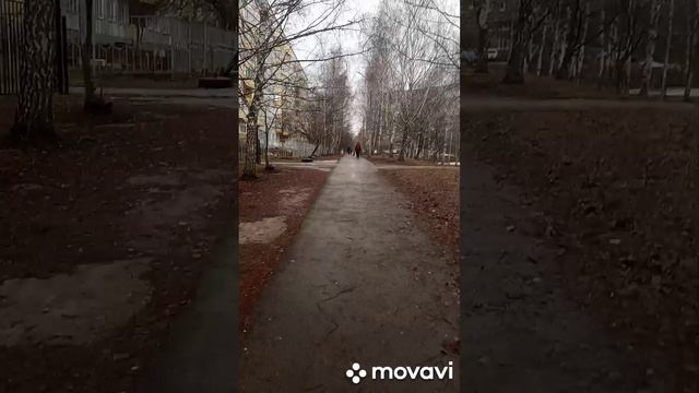Погода 17.03.23