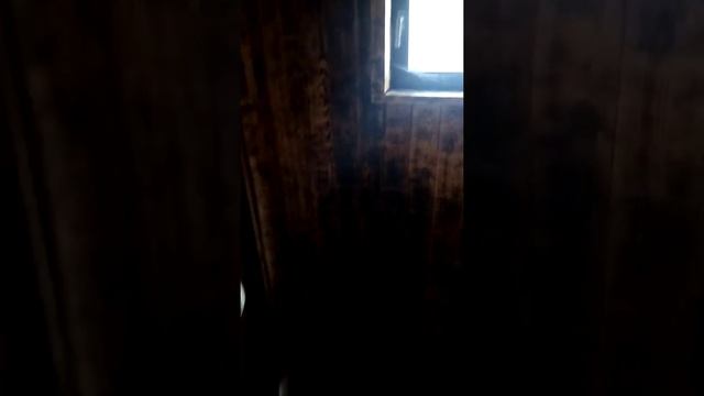 делаю предбанник ? смотреть онлайн