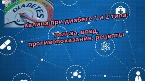 Калина при диабете 1 и 2 типа: польза, вред, противопоказания, рецепты