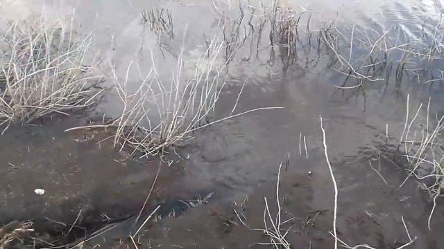 Ползают тут всякие во время рыбалки) смотреть онлайн