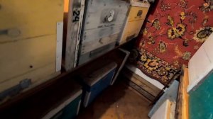 ЗИМОВКА ПЧЁЛ  НА ВОЛЕ ИЛИ В ЗИМОВНИКЕ, ГДЕ ЛУЧШЕ...? ДЛЯ СЕБЯ Я ДАВНО РЕШИЛ! ЗАНОСИМ ПЧЁЛ В ОМШАНИК