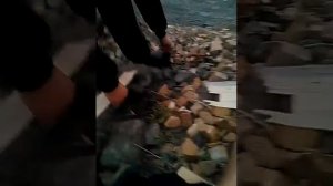 карате пацан 2 серрия