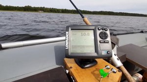 Lowrance. Косячки рыб