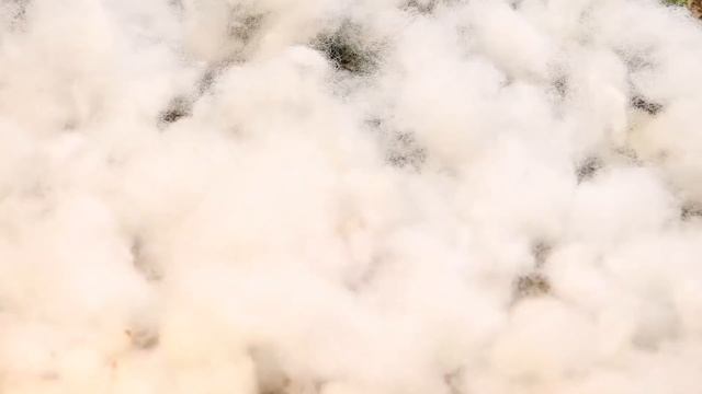 Simple Food 스톱 모션 | Подземная грязь Большая рыба ест угря - АСМР Сом едят угря смотреть онлайн