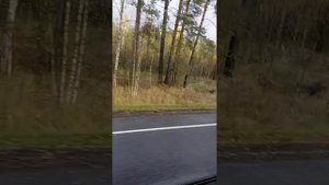 Поездка на автобусе Московская область Егорьевское шоссе.!!!!