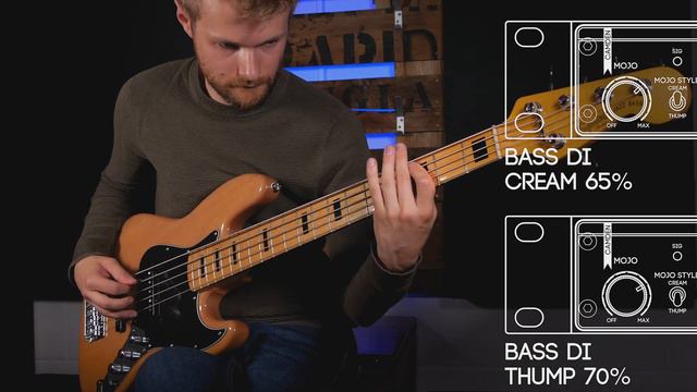 Camden EC2 | Two Channel Mic Preamp, Signal Processor, and Dual Headphone Mixer | Quick Overview смотреть онлайн