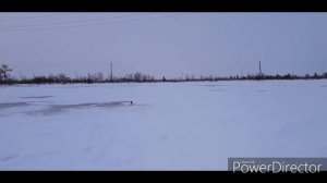 ЗИМНЯЯ РЫБАЛКА ХМАО-ЯНАО 2020! ЖАРКАЯ РЫБАЛКА НА ЩУКУ !НА ЖИВЦА !  ЖЕРЛИЦЫ НА ЩУКУ !ЯМАЛ 2019-2020