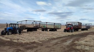 МТЗ 952, МТЗ892 и МТЗ1221. Прицепы птс 9. Грузим сено!(Сезон 2021)