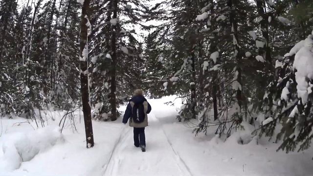 Таловские чаши зимой