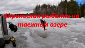Апрельская рыбалка на таёжном озере в Карелии..mp4