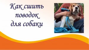 Как сшить поводок для собаки нужной длины