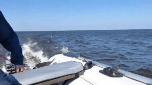 Не все НДНД одинаково полезны. Честный отзыв про лодку Альтаир 425 НДНД