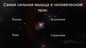 УГАДАЙ ОЧЕНЬ "ИНТЕРЕСНЫЕ" ФАКТЫ ПРО ЧЕЛОВЕКА