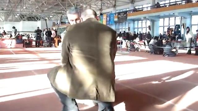 выставка лхаса апсо смотреть онлайн