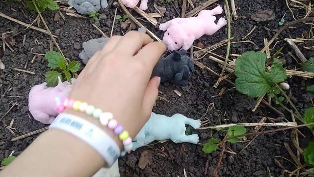 На даче С собачками смотреть онлайн