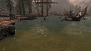 The Elder Scrolls v Skyrim. Не такое и великое древо.