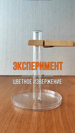 Эксперимент ЦВЕТНОЕ ИЗВЕРЖЕНИЕ #эксперимент #наука #извержение