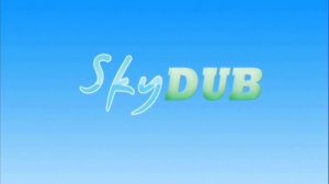 1 Вступления нашей команды SkyDUB