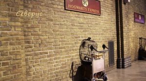 [АУДИОКНИГА | ФАНФИК ПО СЕРИИ КНИГ О ГАРРИ ПОТТЕРЕ] Shellina - Игрок | Книга 4. Северус. Часть 2/4