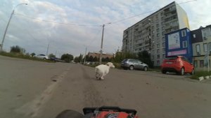 Машинка на радиоуправлении 35 км.в час